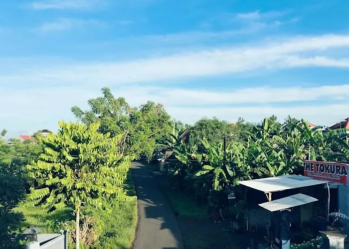 Arda Bali *
