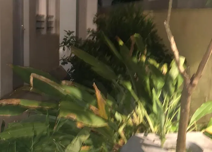 Arda Bali ホテル *